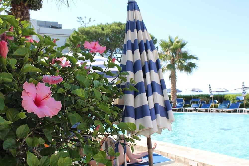 Hotel Terme Alexander ايسكيا المظهر الخارجي الصورة